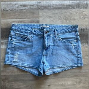 Rich & skinny Jean shorts